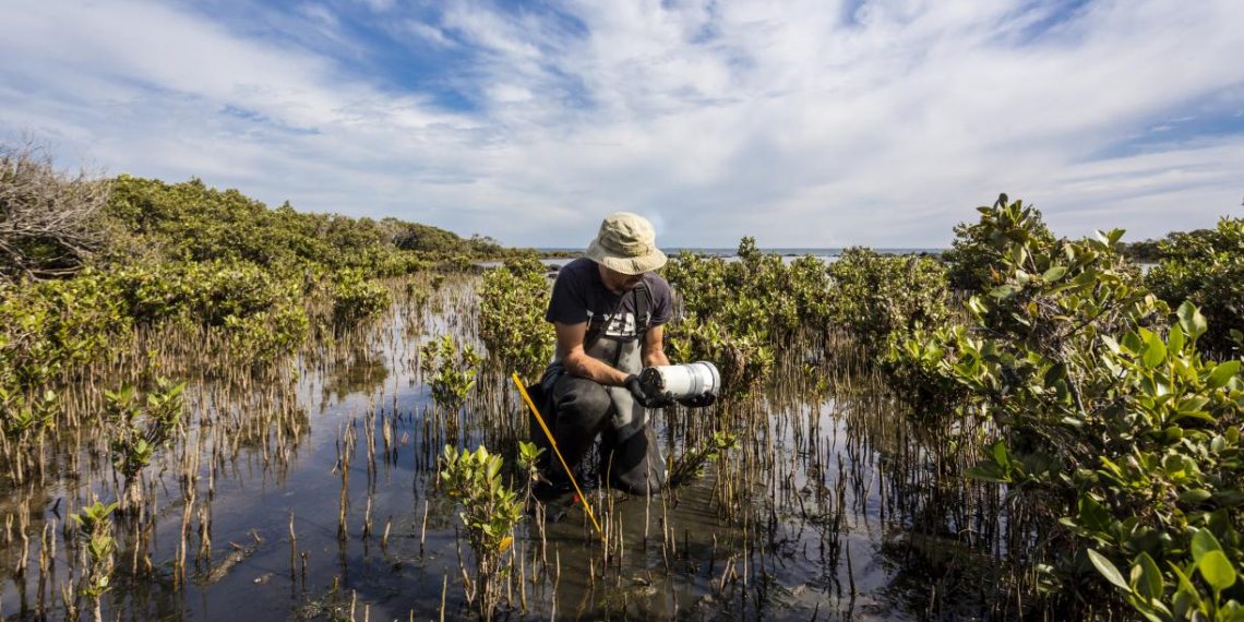 New Developments in Carbon Dioxide Removal